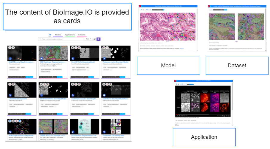 BioImage Model Zoo Content