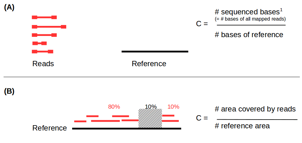 Illustration of genome assembly correctness