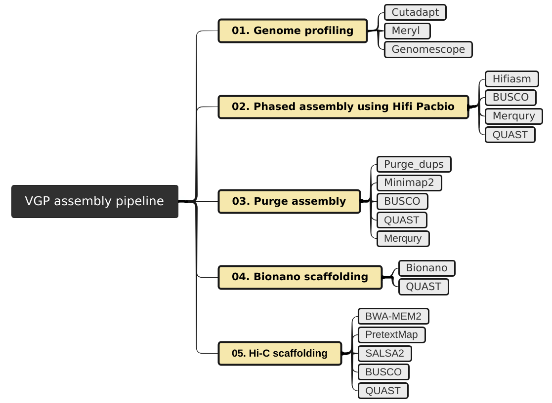 The nine workflows of Galaxy assembly pipeline. 