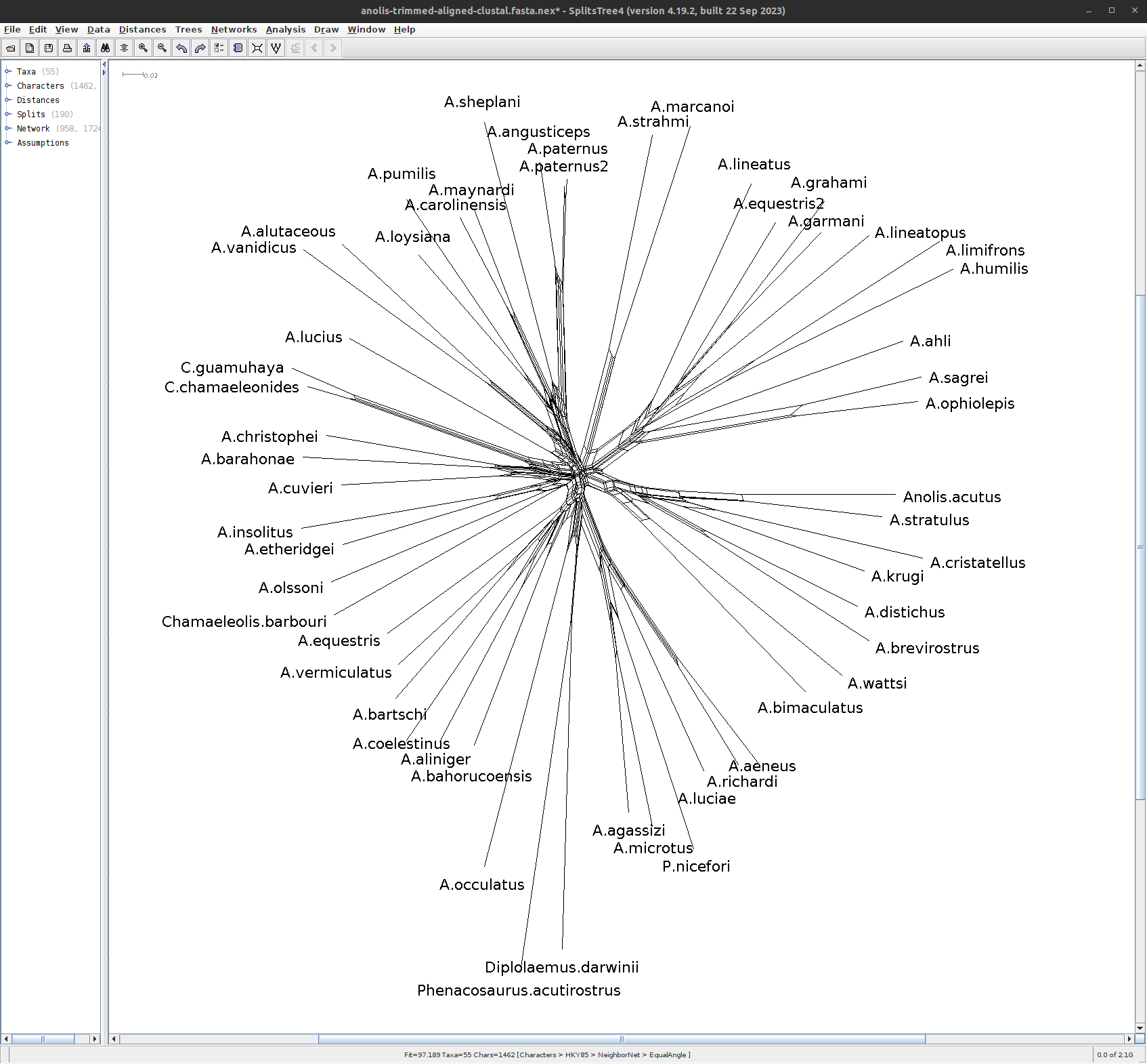 Screenshot of a phylogenetic network of Anolis species. The root of the network is at the centre of the image and clades radiate outwards forming a circular network.