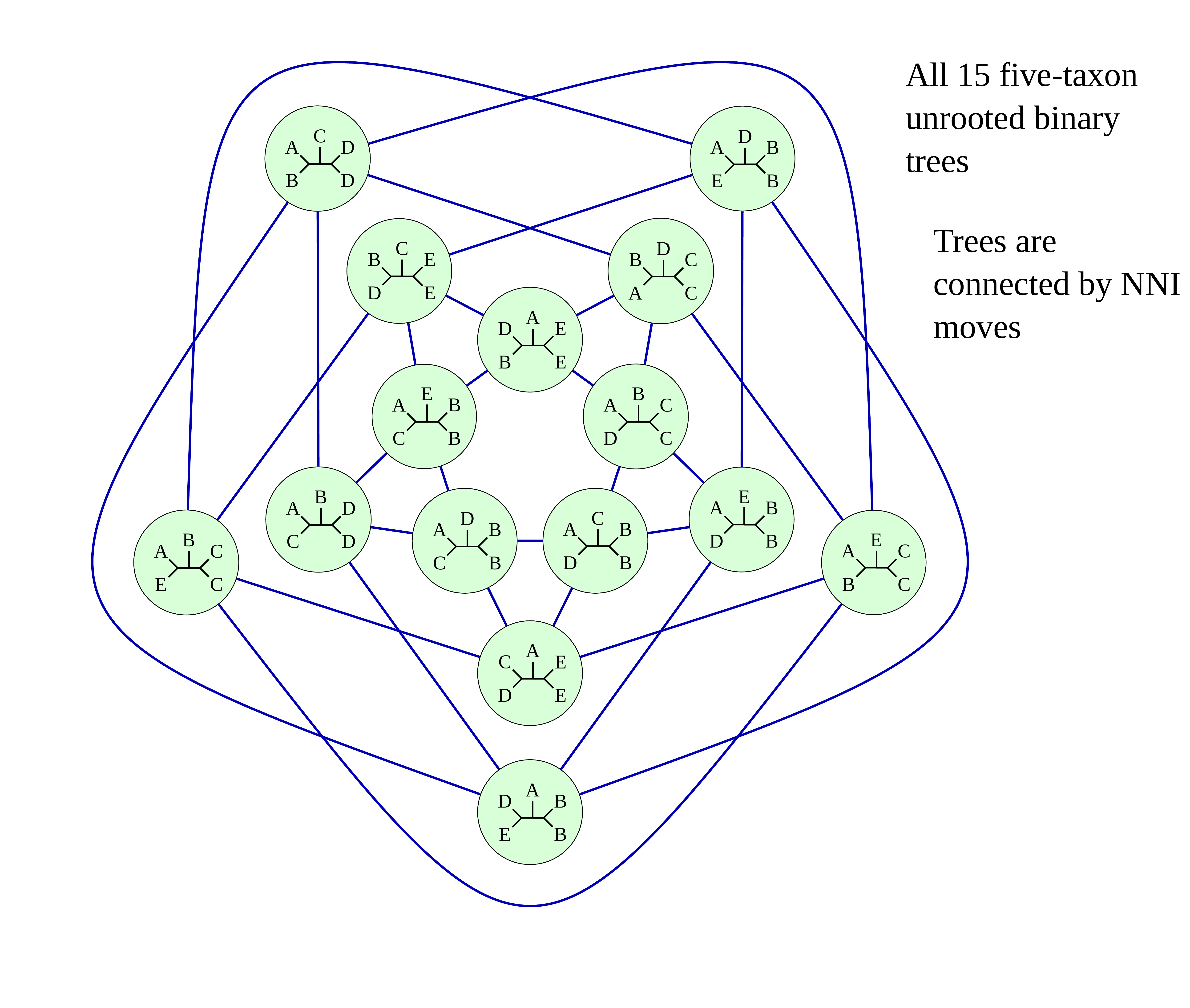 Fifteen different unrooted binary phylogenetic trees containing five taxa are arranged in a star shaped configuration. Blue lines connect the trees and represent NNI moves. Long description provided at 40:00 in the video recording.