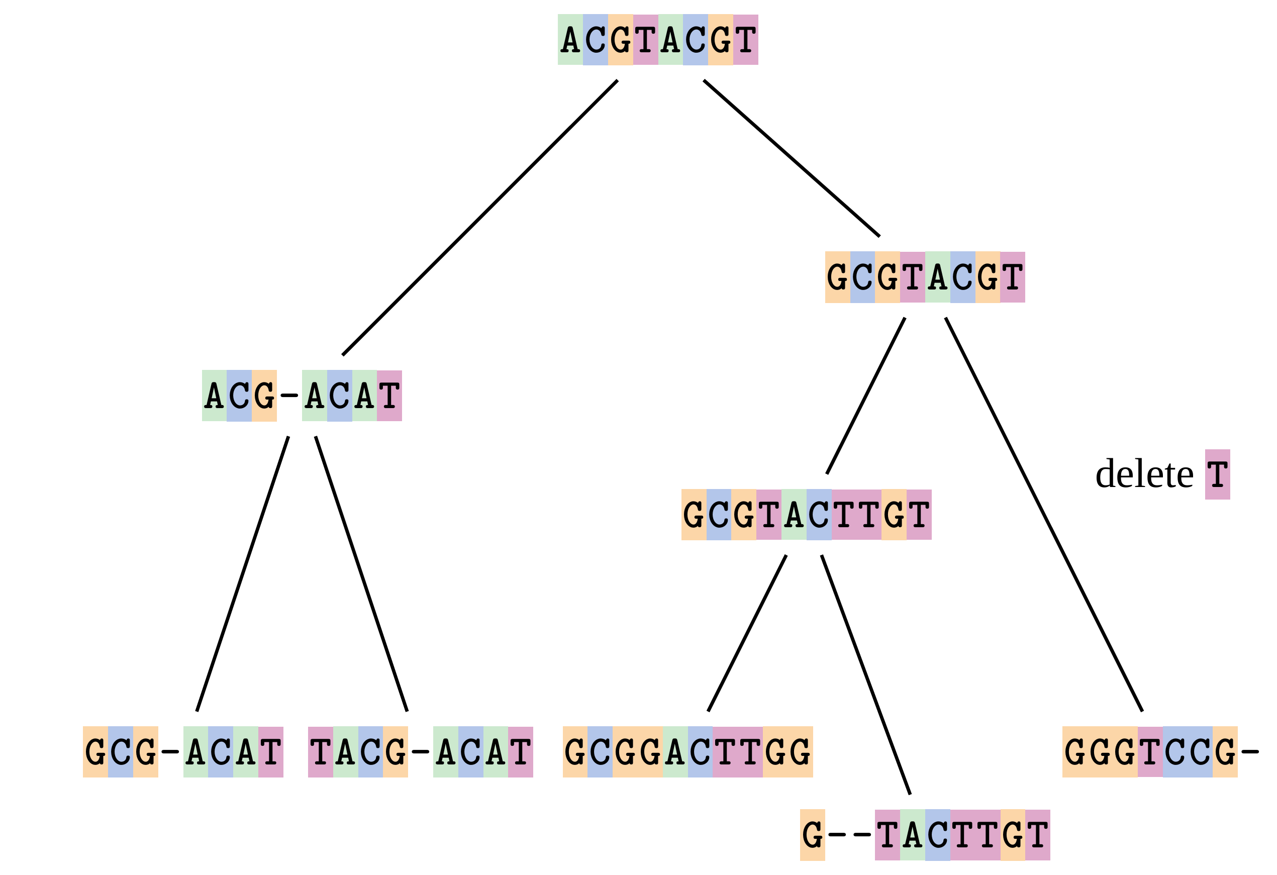 A schematic of a phylogenetic tree showing the evolution of different DNA sequences from a common ancestral sequence. A deletion of a T has occurred on one branch.