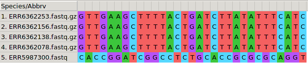 MSA of 5 MTB genomes. 