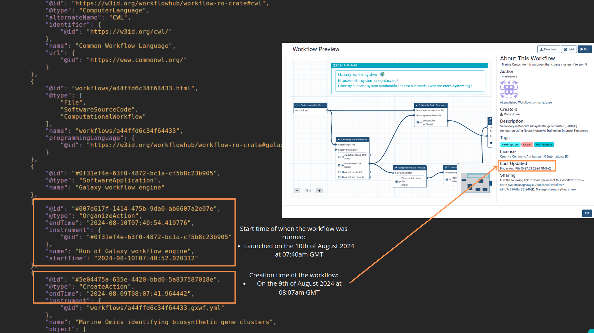 Title and details of the workflow