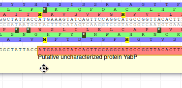 Gif showing modifying the 5' limit of a gene by dragging it downstream.