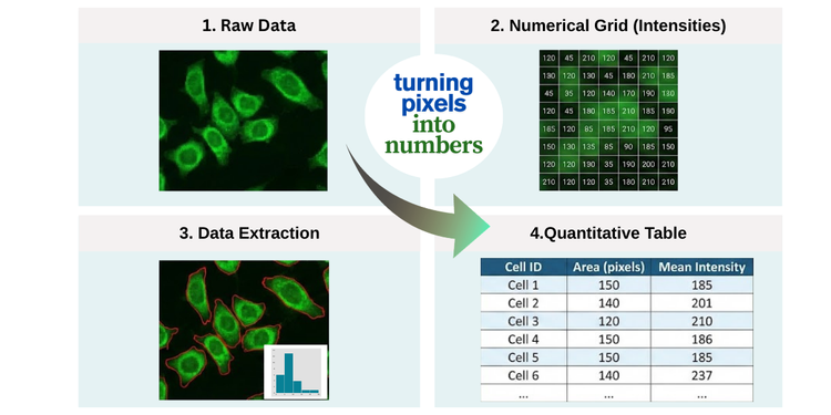 Turning pixels into numbers!
