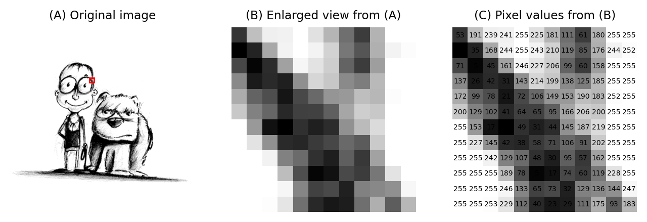 Example digital image and its pixel representation. 