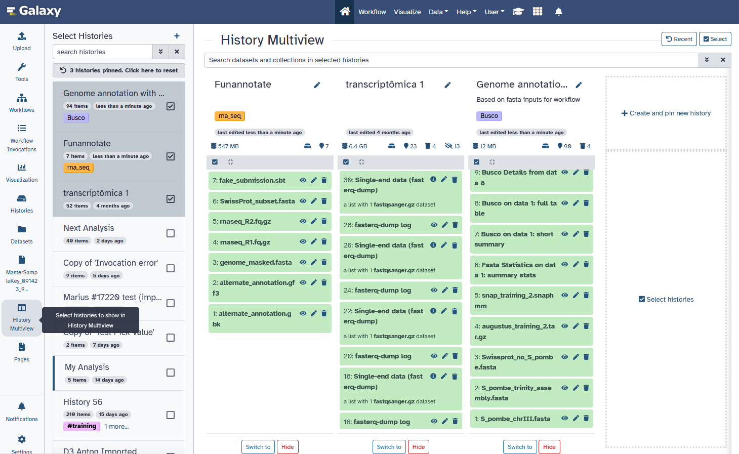 Screenshot of galaxy showing multiple histories next to each other in the multi-history view