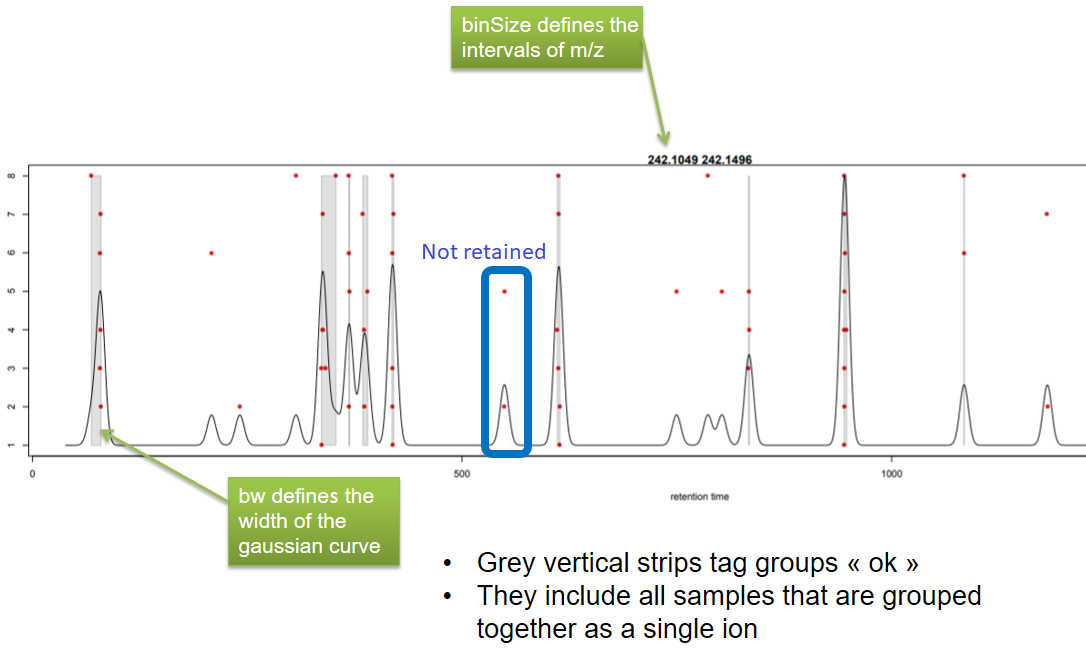 The picture recaps the groupChromPeaks output by showing the point plot where sometimes peaks are kept and sometimes not. It is written: "Grey vertical strips tag groups ok; they include all samples that are grouped together as a single ion."