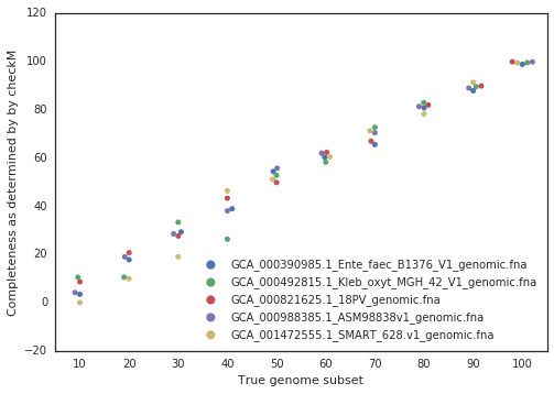 Source: <a href='https://drep.readthedocs.io/en/latest/choosing_parameters.html#importance-of-genome-completeness'>dRep documentation</a> This scatter plot illustrates the relationship between true genome subset percentages (x-axis) and completeness as estimated by CheckM (y-axis) for five distinct microbial genomes, each represented by a different color: blue (GCA_000390985.1_Entamoeba_faecalis), green (GCA_000492815.1_Klebsiella_oxytoca), red (GCA_000988385.1_ASM98838v1), purple (GCA_001472555.1_SMART_628), and yellow (GCA_000821625.1_18PV). Each point corresponds to a subset of the genome, showing how CheckM's completeness estimates align closely with the true subset percentages. The plot demonstrates that CheckM accurately predicts genome completeness, with points clustering near the diagonal line, indicating a strong correlation between the true and estimated completeness values. This highlights CheckM's reliability for assessing genome completeness in metagenomic studies.