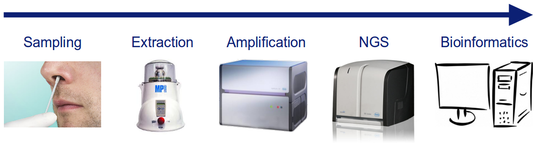 graphi with an arrow going from sampling (nose picture) to extraction to amplification to ngs to bioinformatics (computer picture)