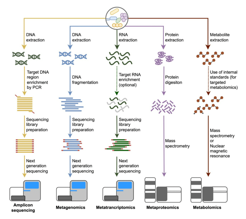 Experimental-workflows-for-mainstream-omics