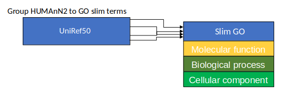 group Human2 to GO slim terms with lines from uniref50 to slim GO and boxes of Molecular Function, biological process, and cellular component below Slim GO