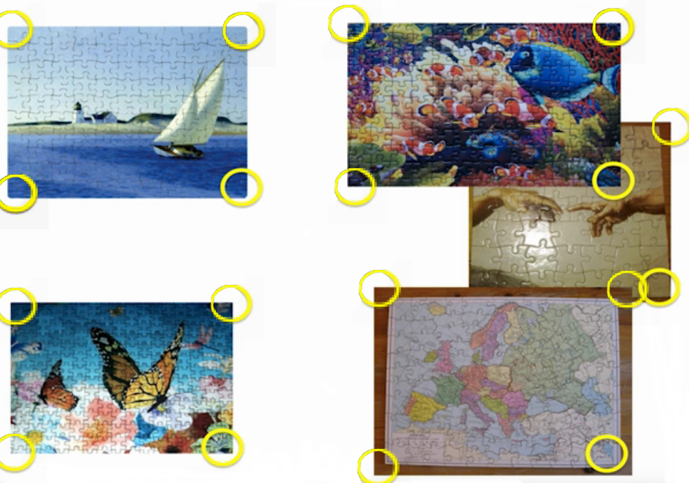 amplicon sequencing illustrated with jigsaw puzzles, all of the corner pieces of each puzzle are circled.