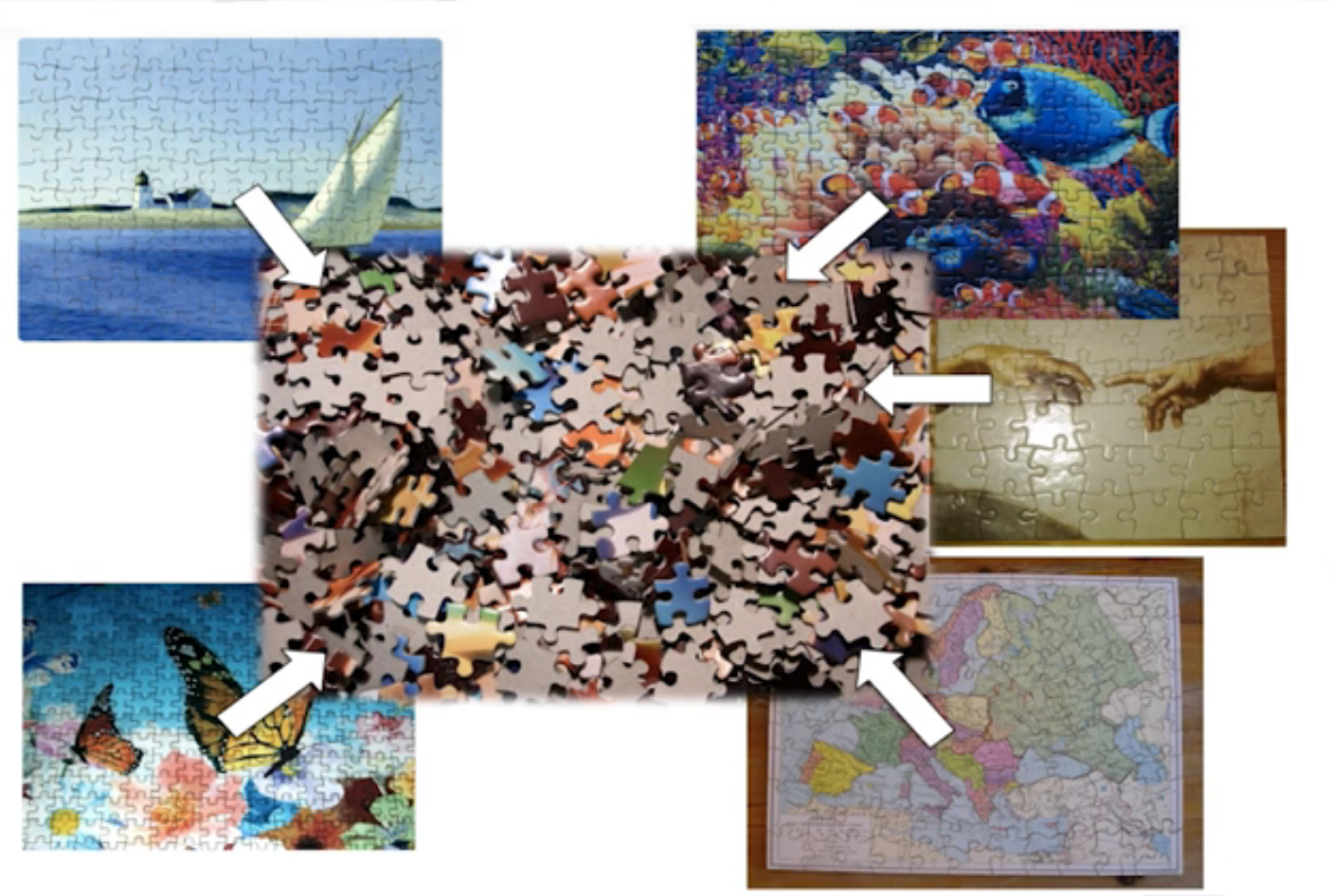 jigsaw puzzle image illustrating shotgun sequencing approach