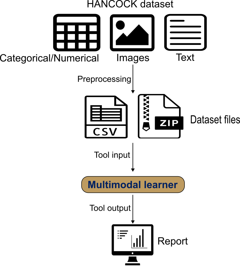 Schema of the whole process of training model and test. 