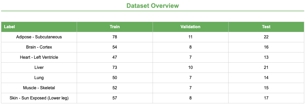 Dataset Overview. 