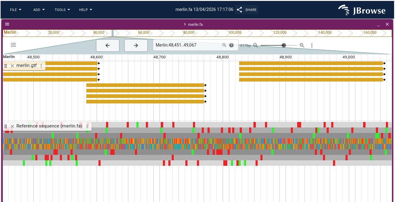 sequencing tracks in JBrowse2. 
