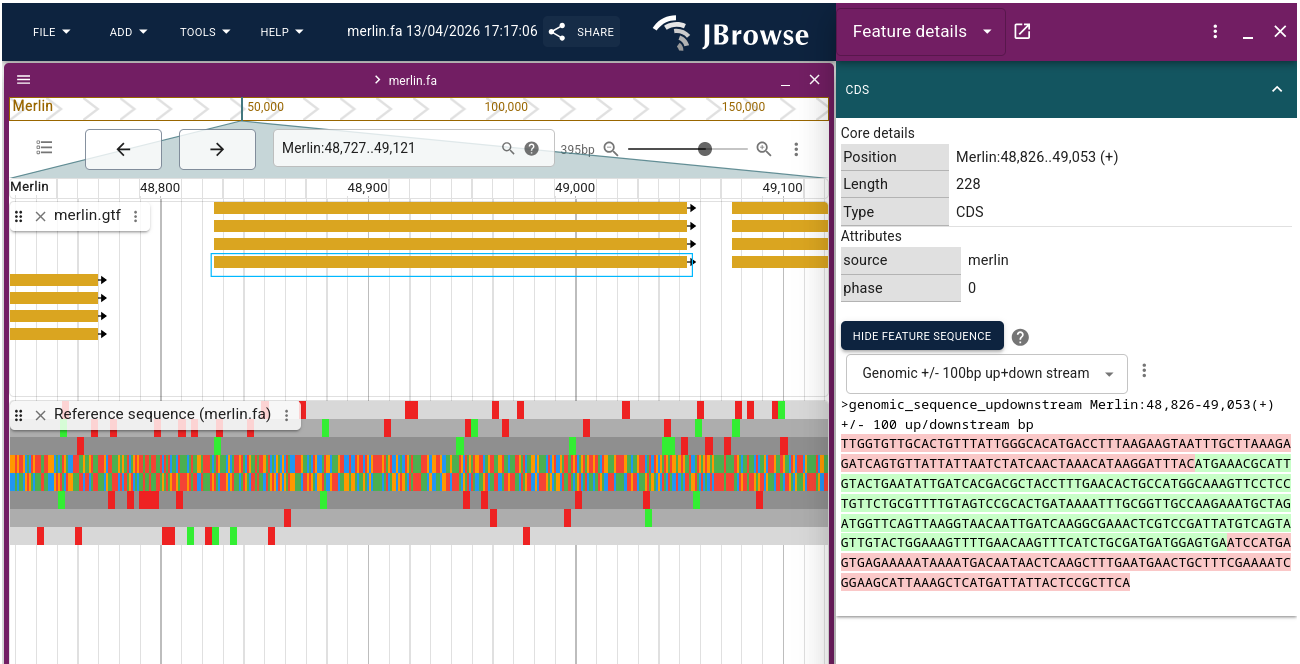 sequencing tracks in JBrowse2. 